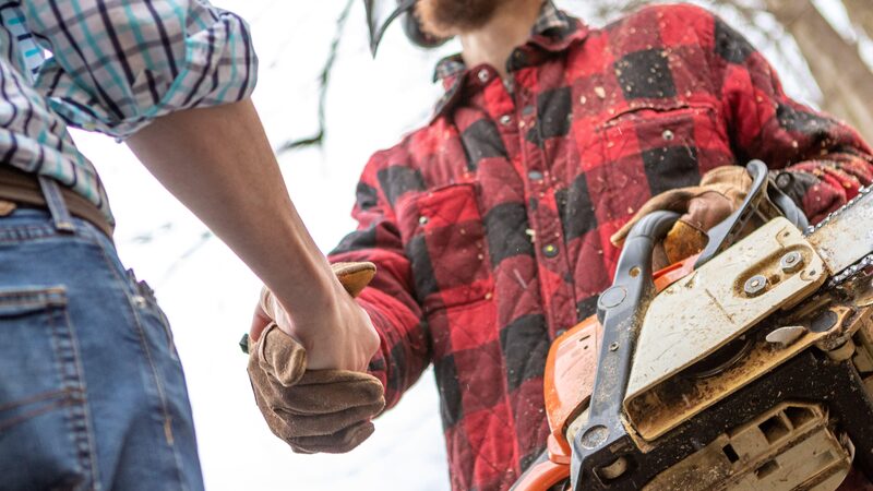 Woodworking bench with hand tools and an open notebook by a window in autumn - Brattleboro Local