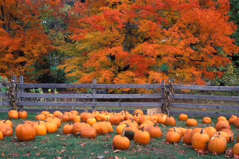 Dummerston Center · Dummerston, VT - Brattleboro Local
