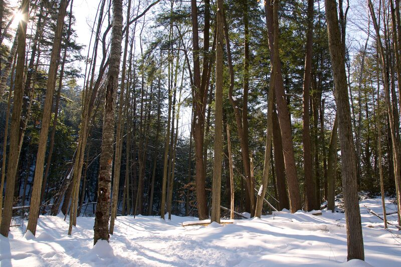 Houghtonville · Grafton, VT - Brattleboro Local