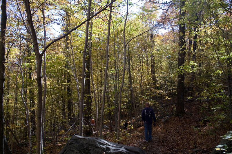 Algiers · Guilford, VT - Brattleboro Local