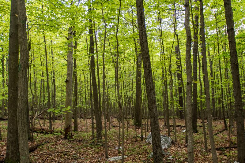 Halifax, Vermont - Brattleboro Local