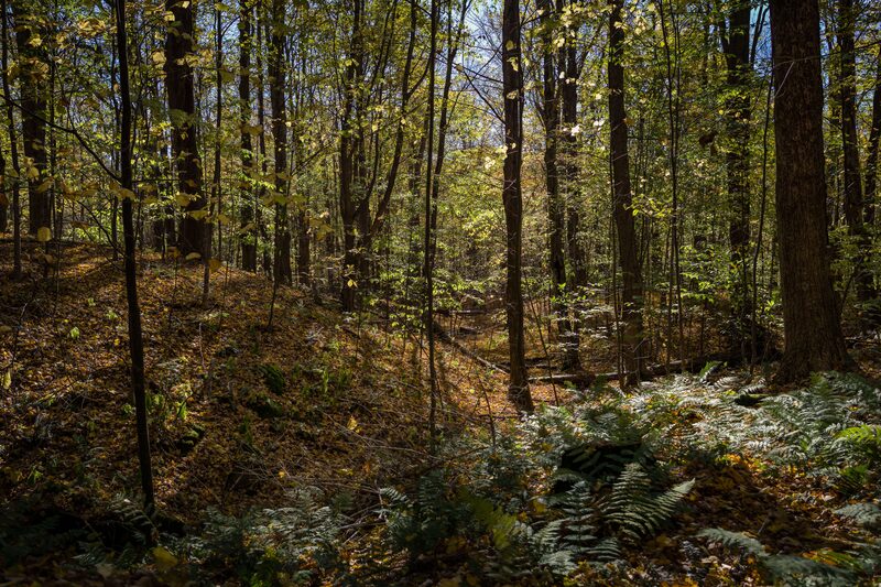 Halifax Center · Halifax, VT - Brattleboro Local