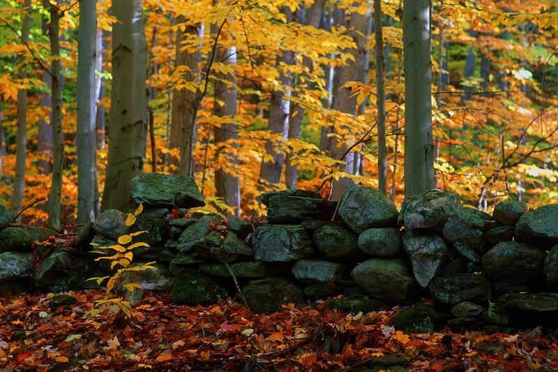 West Townshend · Townshend, VT - Brattleboro Local