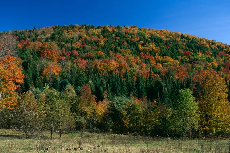 Wardsboro Center · Wardsboro, VT - Brattleboro Local